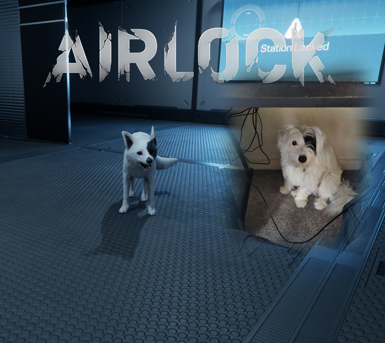 Companion V1